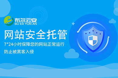 网站安全托管 安全运维软件